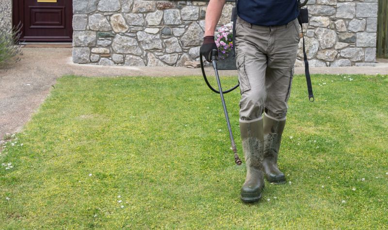 Home Lawn Maintenance