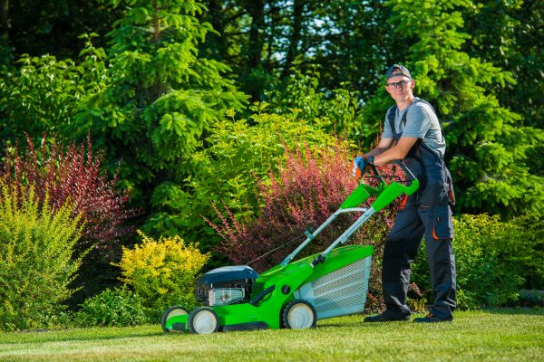 Yard Work Service in Boerne
