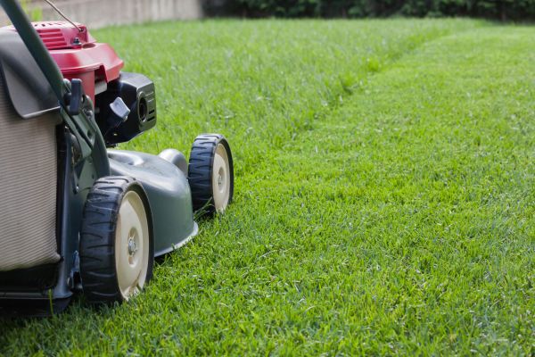 Residential Lawn Care in Boerne