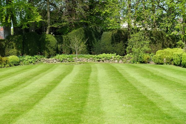 Grass Care Service in Boerne