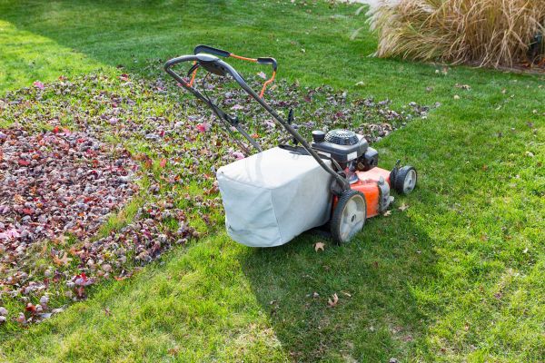 Seasonal Lawn Care in Boerne