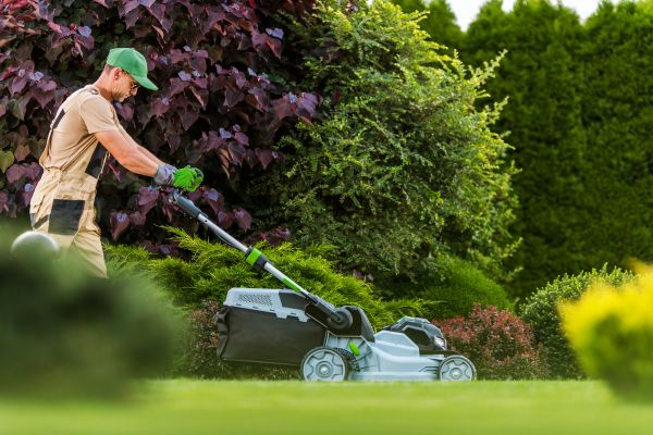 Lawn Management in Boerne