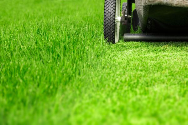 Weekly Lawn Care in Boerne