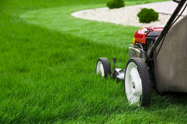 Lawn Trimming in Boerne