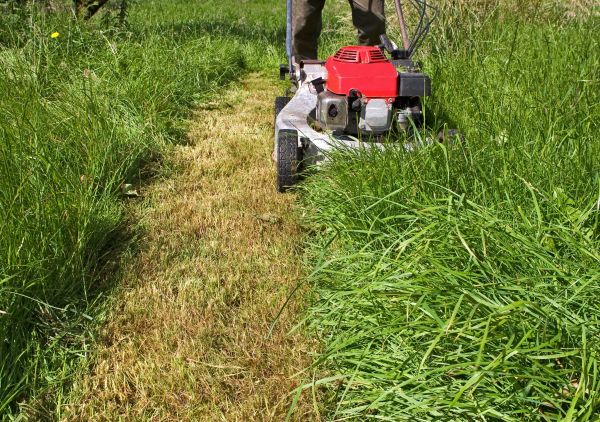 Leaf Mowing in Boerne